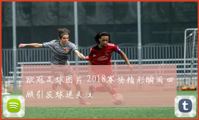 欧冠足球图片 2018赛场精彩瞬间回顾引发球迷关注