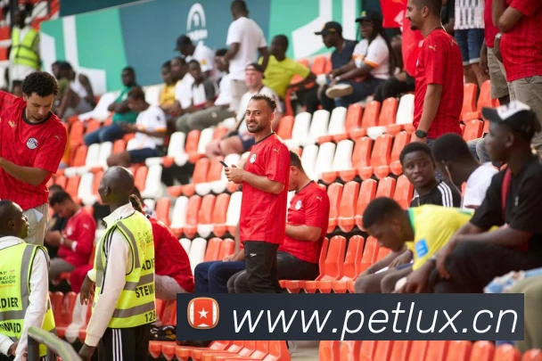 多媒体互动体验