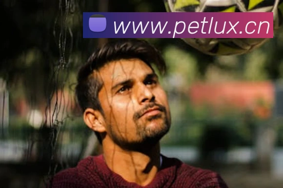 半岛在线登录官网APP 体育赛事宣传图